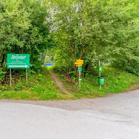 Blaiken Xl Tatil Evi Scheffau am Wilden Kaiser