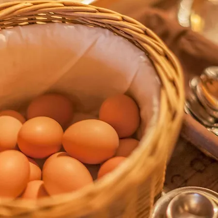 Blaiken Xl Prázdninový dům *